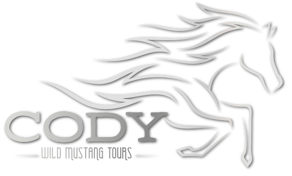 Cody Wild Mustang Tours